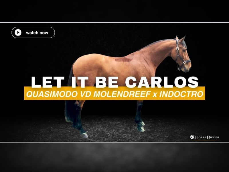 Let It Be Carlos