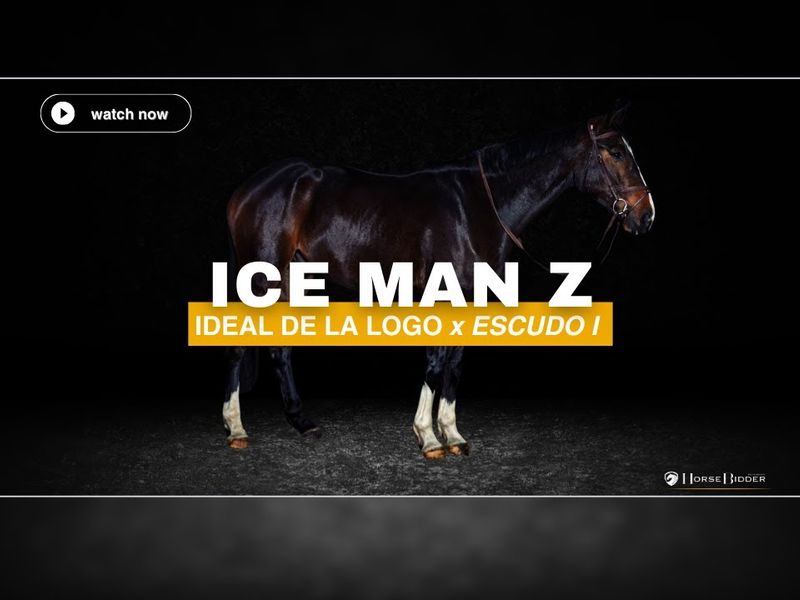 Ice Man Z