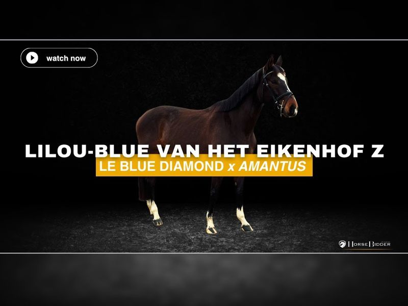 Lilou-Blue van het Eikenhof Z