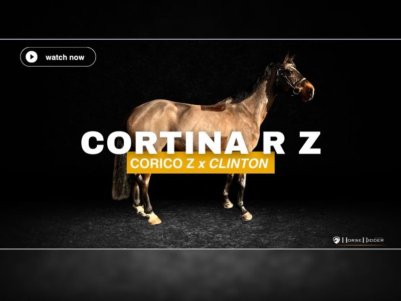 Cortina R Z