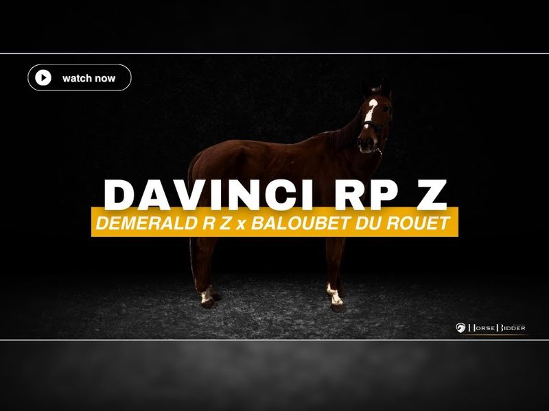 Davinci RP Z