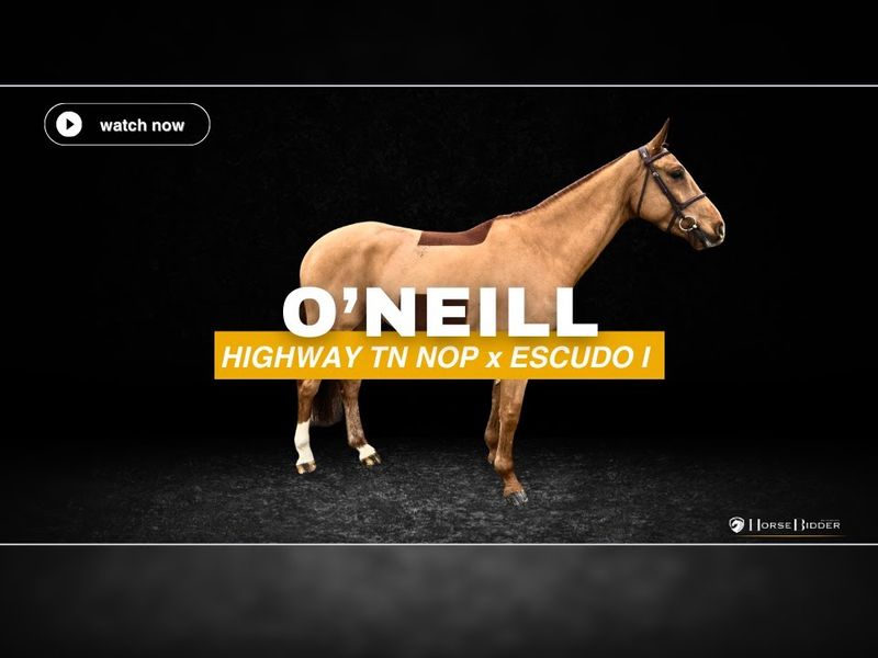 O'Neill