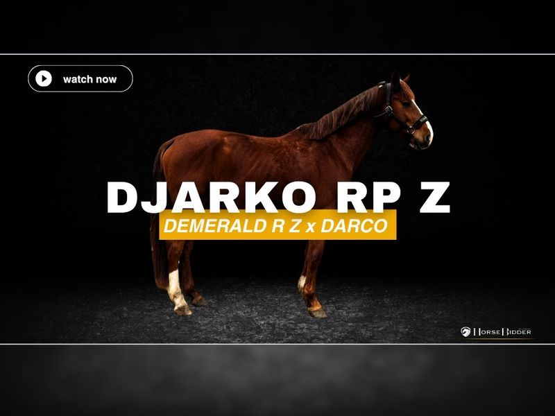 Djarko RP Z