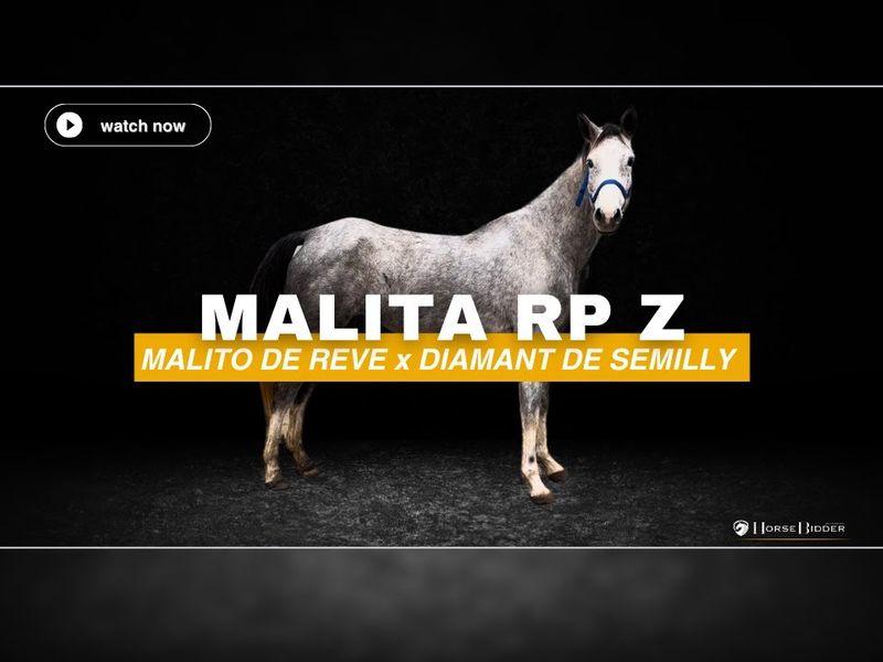 Malita RP Z