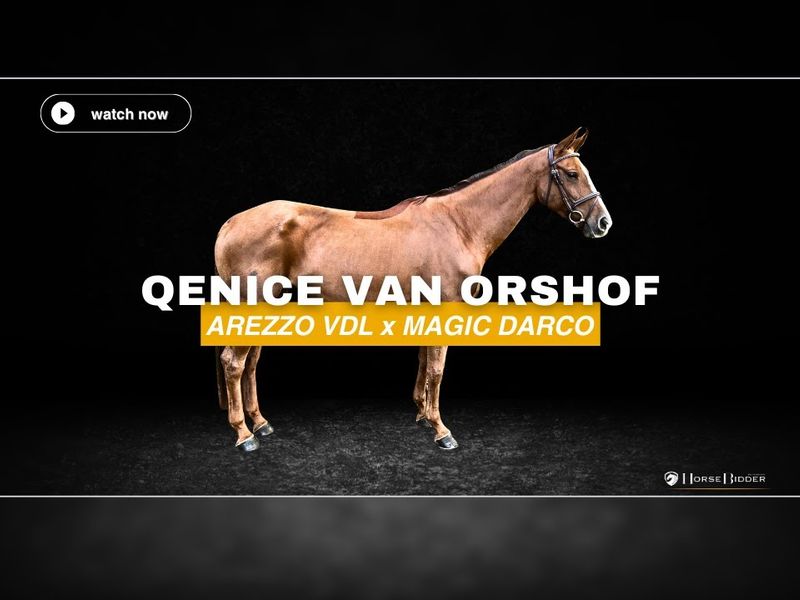 Qenice van Orshof