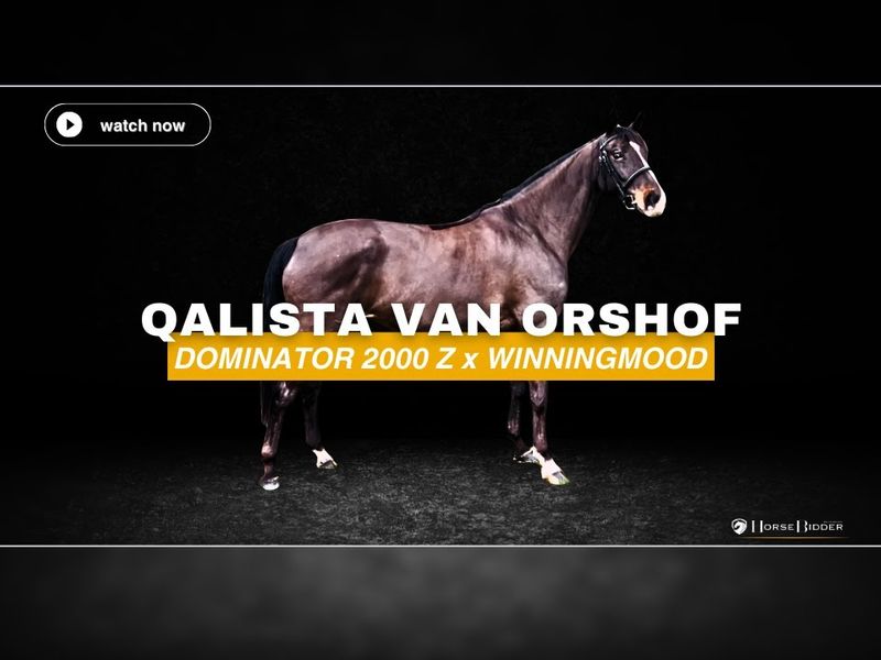 Qalista van Orshof