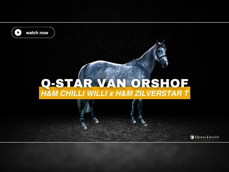 Q-star van Orshof