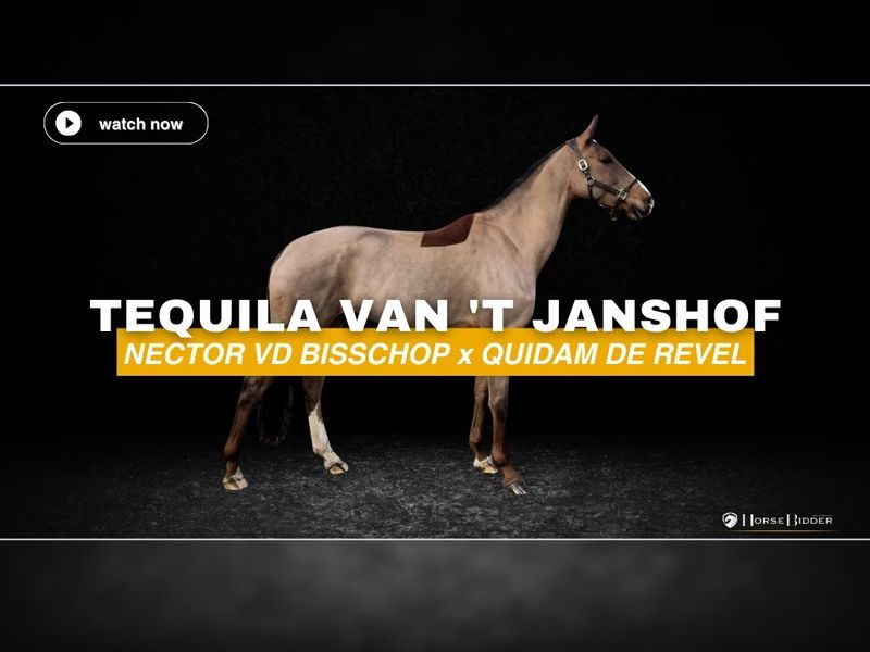 Tequila van 't Janshof