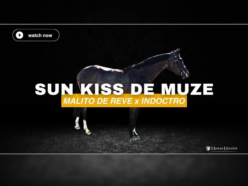 Sun Kiss De Muze