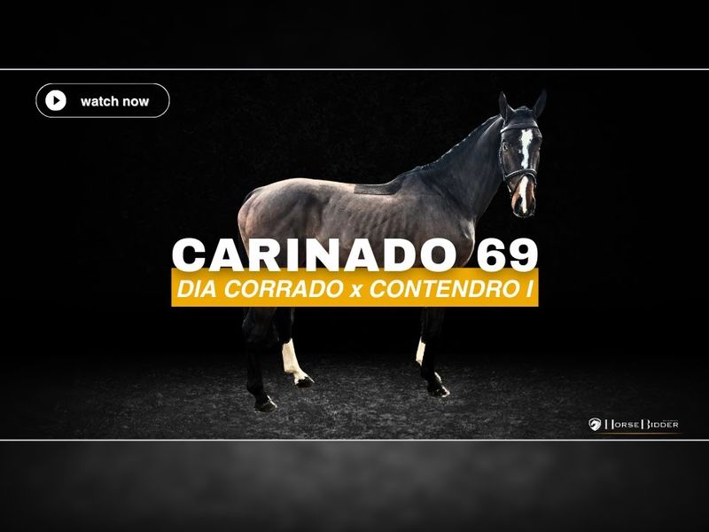 Carinado 69