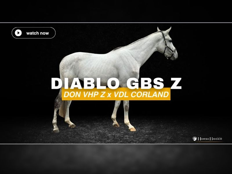 Diablo Gbs Z