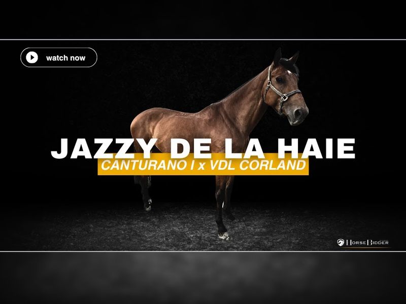 Jazzy De La Haie