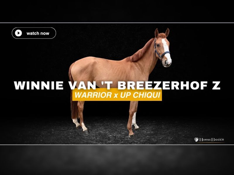 Winnie van 't Breezerhof Z