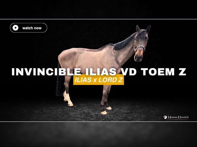 Invincible Ilias Van De Toem Z